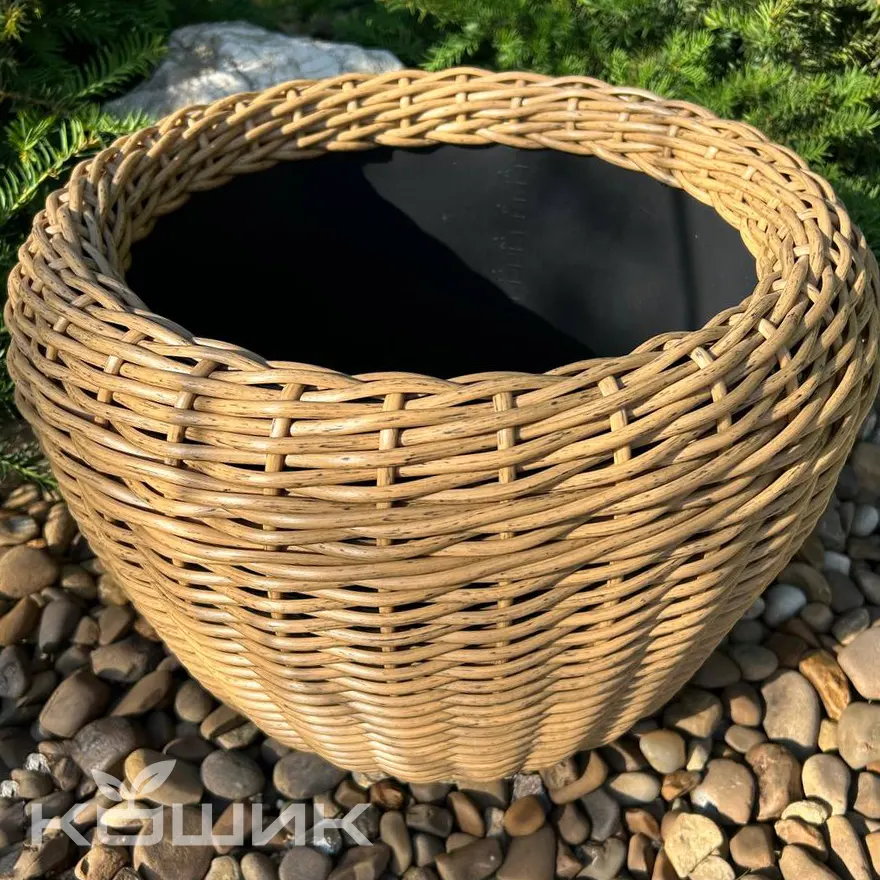 derevo_20_2
