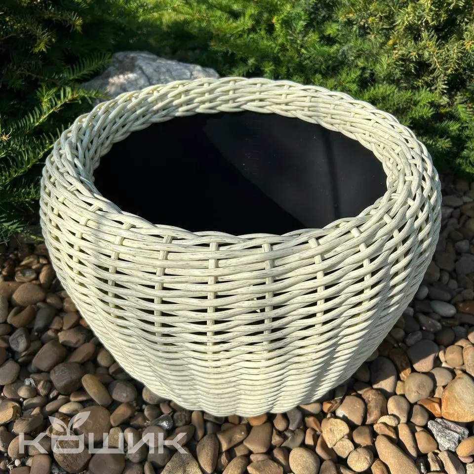 slonova_20_2