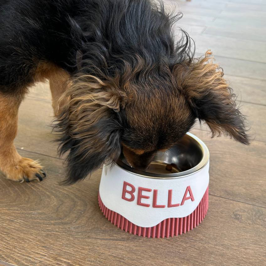 petbowl_1